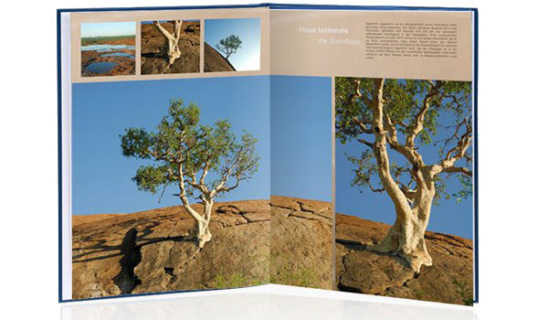Large EuroBook
