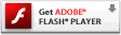Get Flash Now!